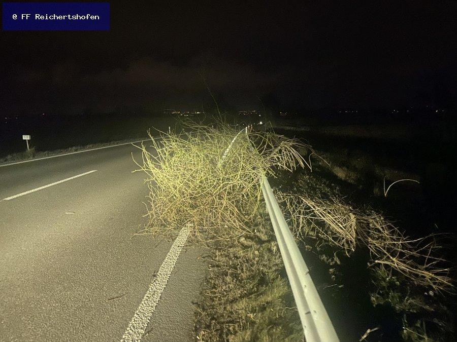 Sturmschäden Sturmschäden